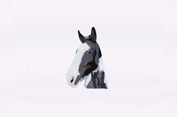 Explore the Charm of Detailed Horse Design